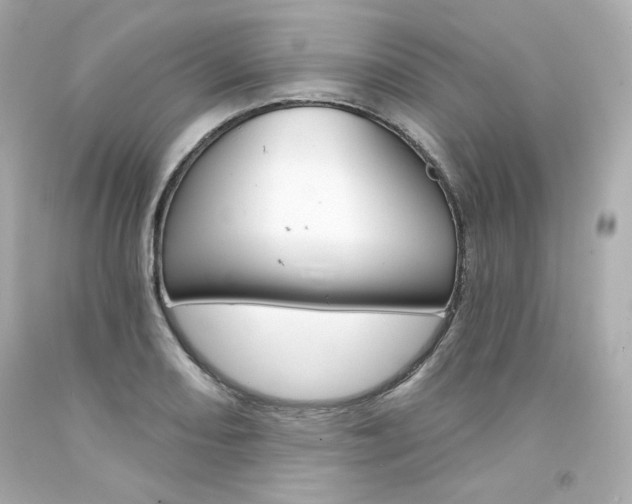 X0000094351082200711021307
