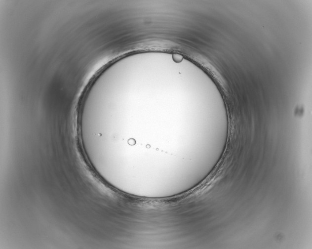 X0000094351083200711021307