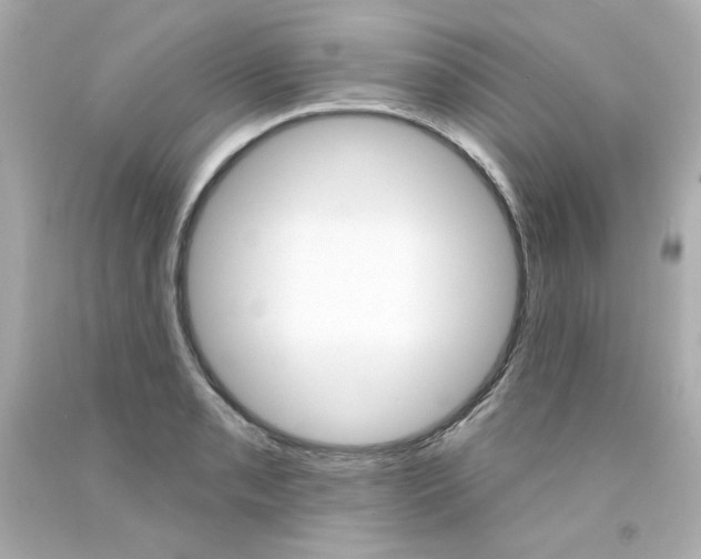 X0000094351085200711021307