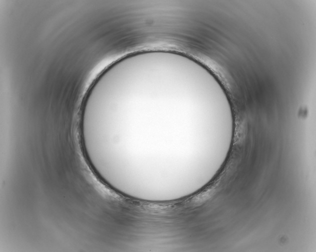 X0000094351086200711021307
