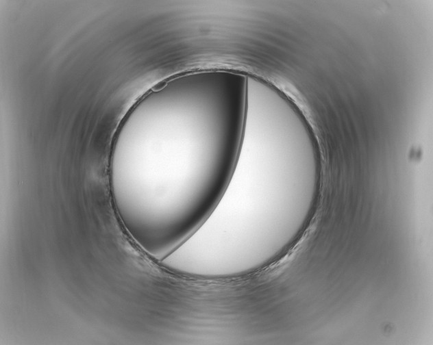 X0000094351089200711021307