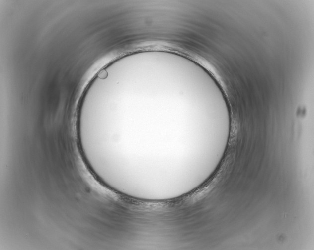 X0000094351090200711021307