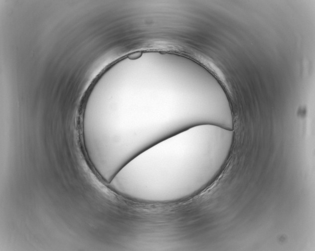 X0000094351091200711021307