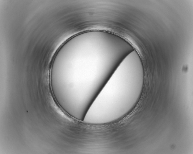 X0000094351092200711021307