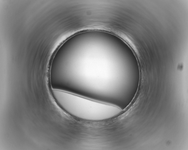 X0000094351093200711021307