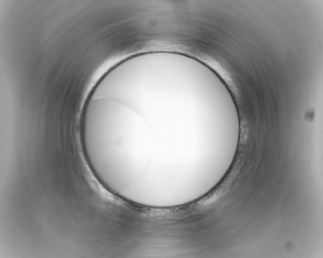 X0000094351094200711021307