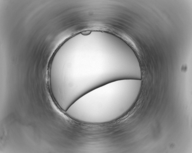X0000094351095200711021307