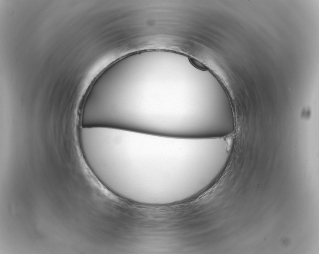 X0000094351096200711021307
