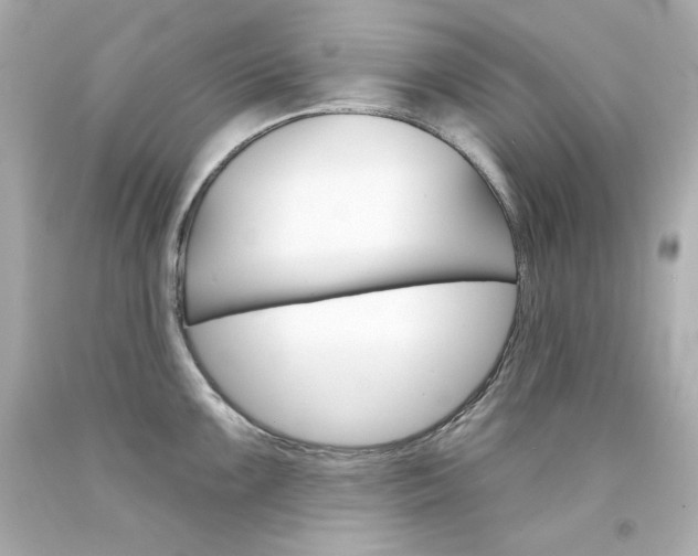 X0000094351099200711021307