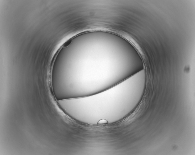 X0000094351101200711021307