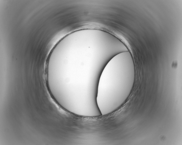 X0000094351103200711021307