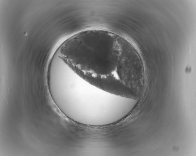 X0000094351104200711021307