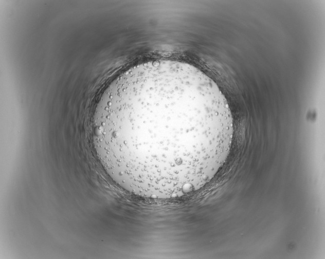 X0000094351105200711021306
