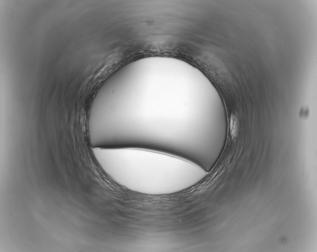X0000094351107200711021307
