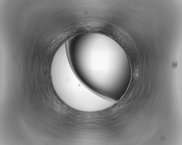 X0000094351108200711021307