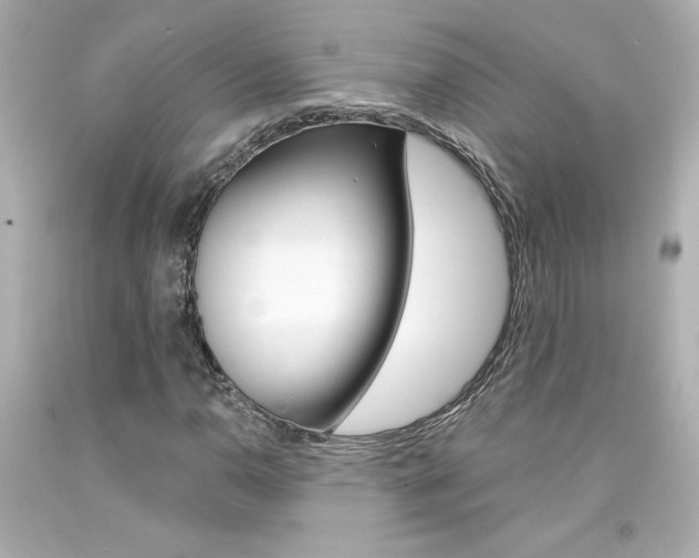 X0000094351110200711021307
