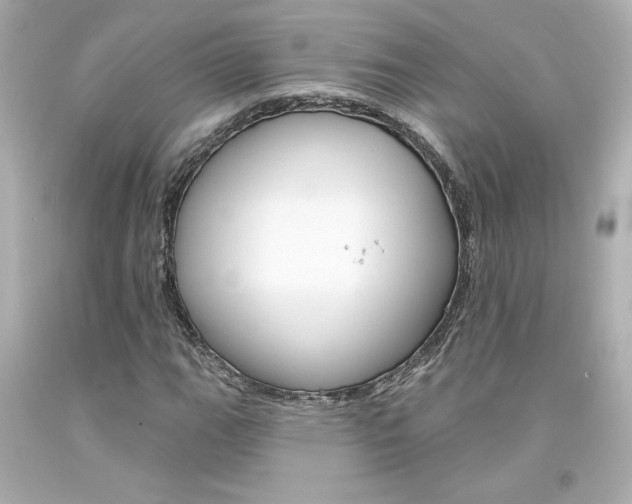 X0000094351111200711021307