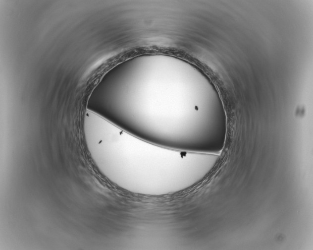X0000094351112200711021307
