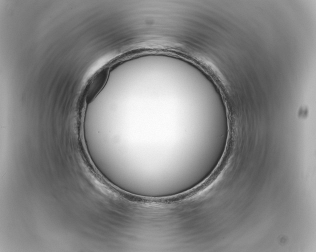 X0000094351114200711021307