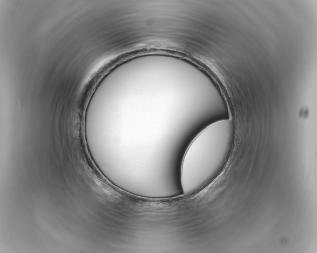 X0000094351115200711021307