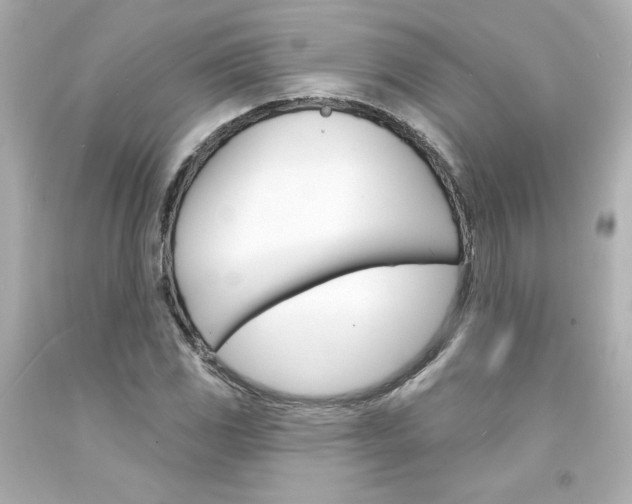 X0000094351117200711021307