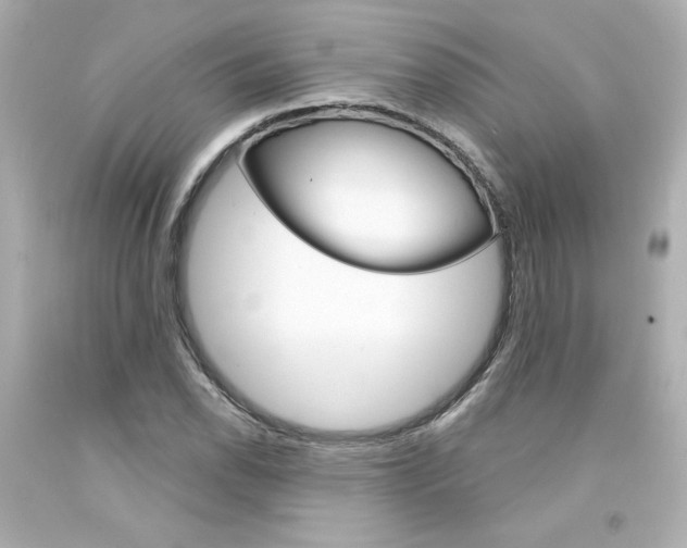 X0000094351118200711021307
