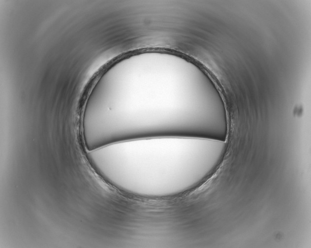 X0000094351119200711021307