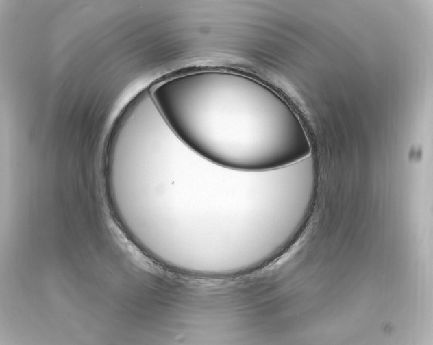 X0000094351122200711021307
