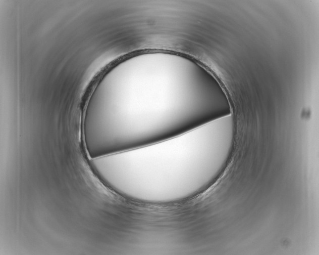X0000094351123200711021307