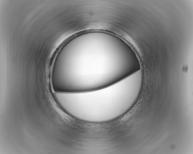 X0000094351124200711021307