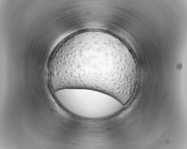X0000094351125200711021307