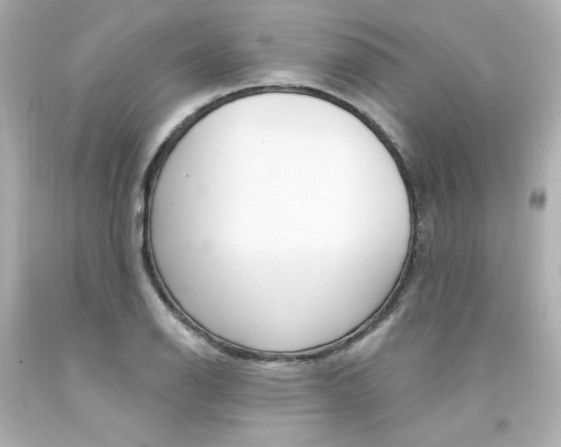 X0000094351126200711021307