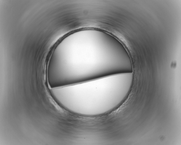X0000094351127200711021307