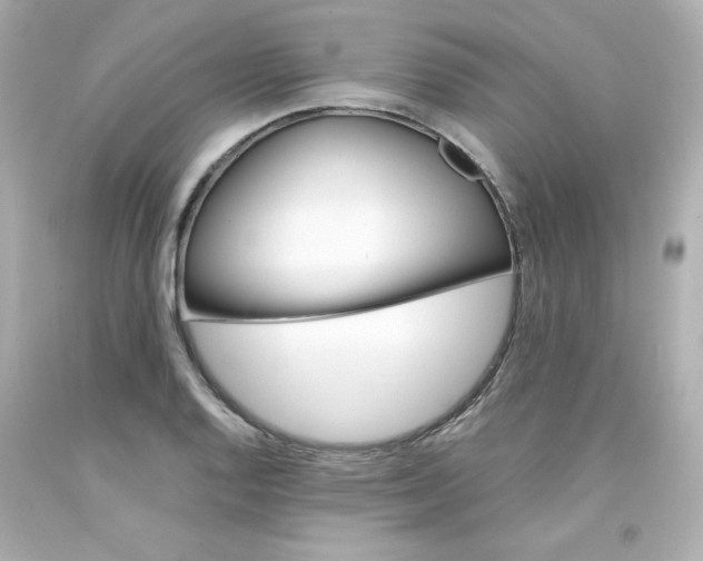 X0000094351128200711021307