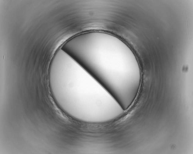 X0000094351129200711021307