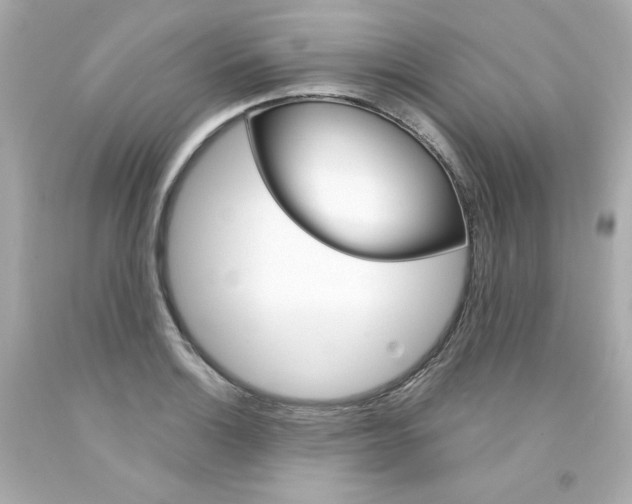 X0000094351132200711021307