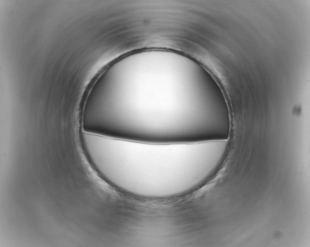 X0000094351133200711021307