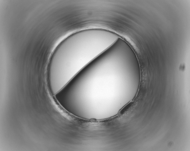 X0000094351134200711021307