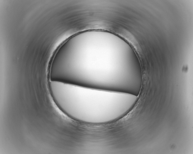 X0000094351135200711021307