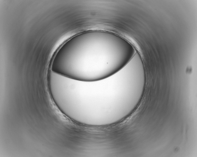 X0000094351138200711021307