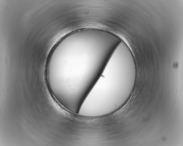 X0000094351139200711021307