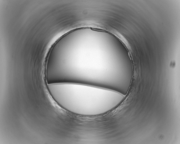 X0000094351144200711021307