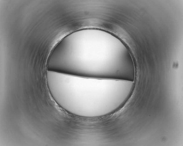X0000094351145200711021307