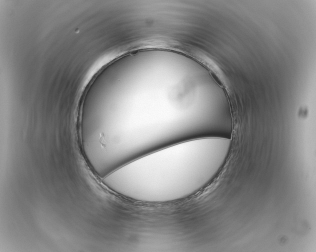 X0000094351146200711021307