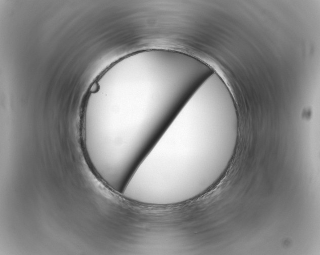 X0000094351147200711021307