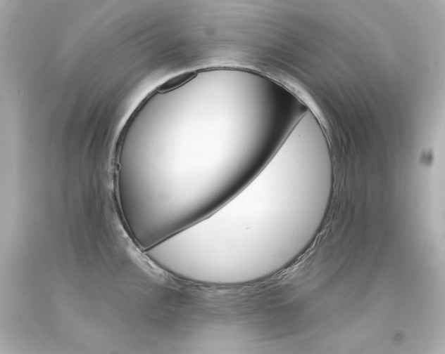 X0000094351148200711021307
