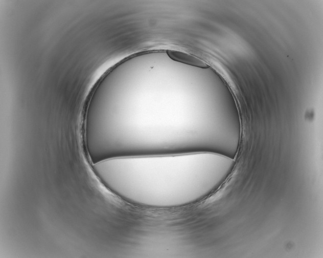 X0000094351149200711021307