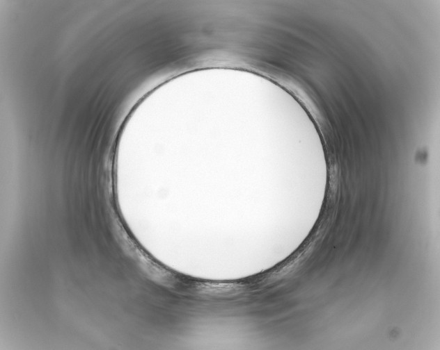 X0000094351150200711021307