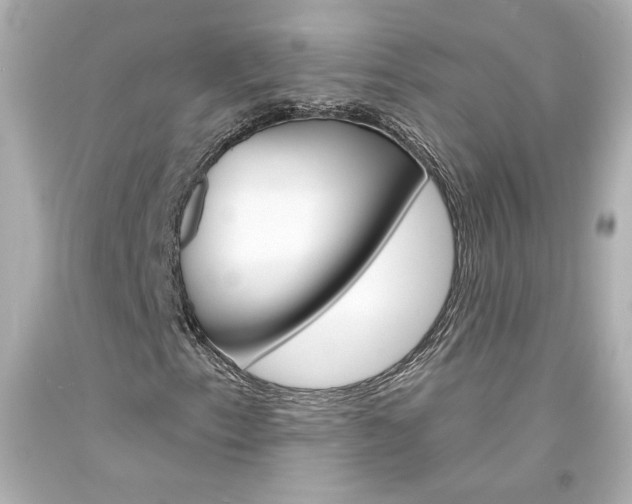 X0000094351153200711021306
