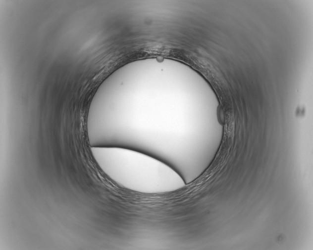 X0000094351154200711021306